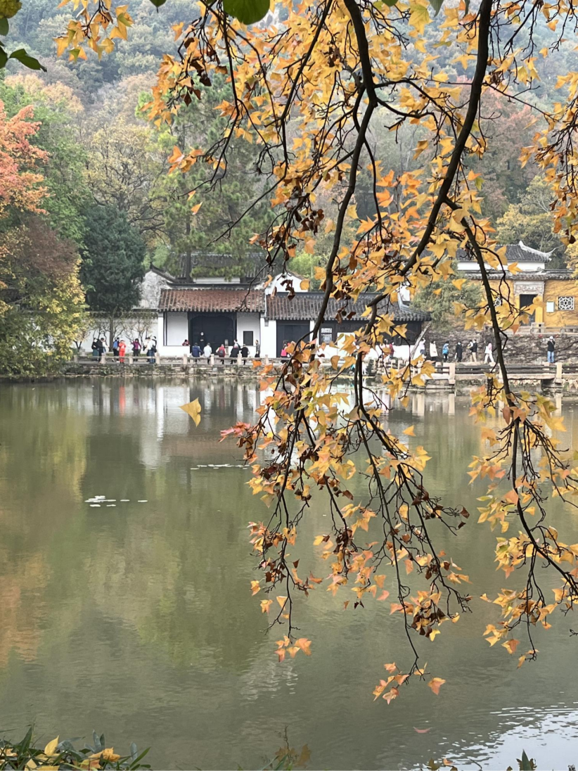 1669807973771610.png 圖片4.png