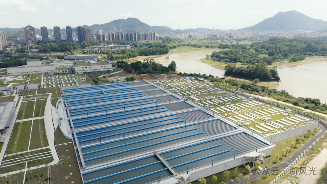 1748254798535942.png 640.png